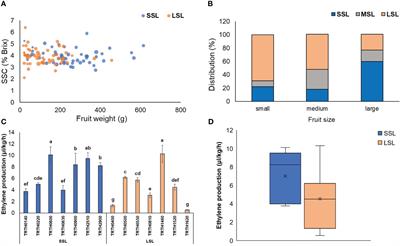 A metabolome and transcriptome survey to tap the dynamics of fruit prolonged shelf-life and improved quality within Greek tomato germplasm